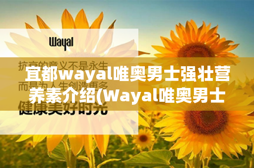 宜都wayal唯奥男士强壮营养素介绍(Wayal唯奥男士强壮营养素)第1张-Wayal唯奥公司