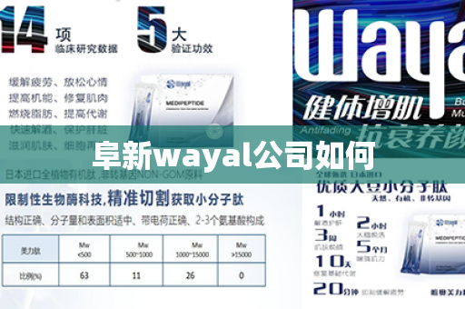 阜新wayal公司如何