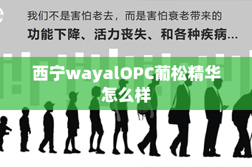 西宁wayalOPC葡松精华怎么样