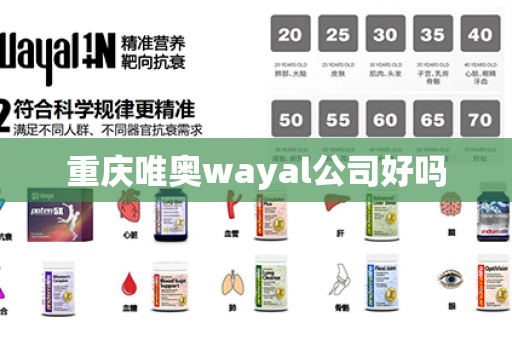 重庆唯奥wayal公司好吗