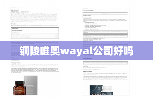 铜陵唯奥wayal公司好吗