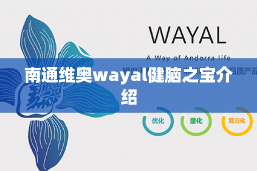 南通维奥wayal健脑之宝介绍