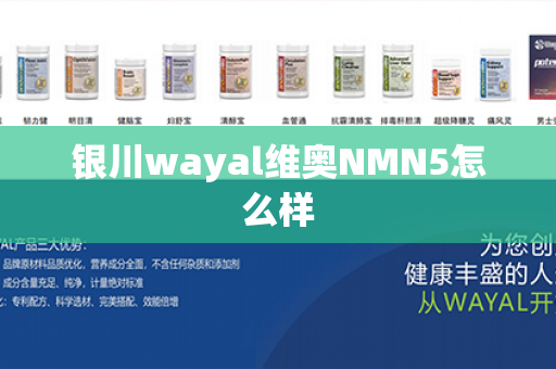 银川wayal维奥NMN5怎么样