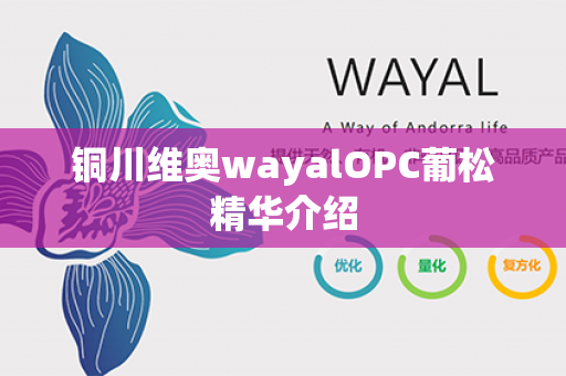 铜川维奥wayalOPC葡松精华介绍第1张-Wayal唯奥公司