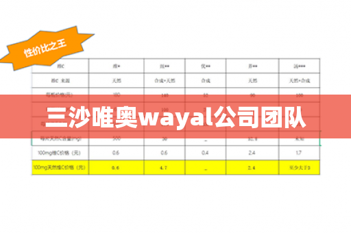 三沙唯奥wayal公司团队