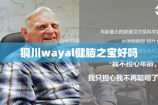 铜川wayal健脑之宝好吗