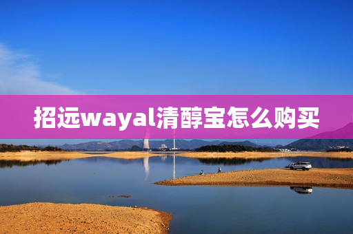 招远wayal清醇宝怎么购买