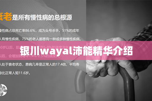 银川wayal沛能精华介绍