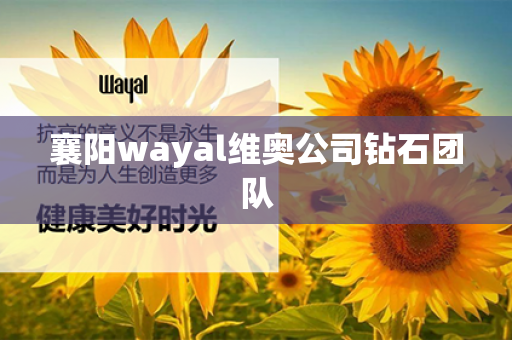 襄阳wayal维奥公司钻石团队