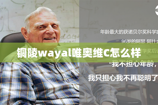 铜陵wayal唯奥维C怎么样第1张-Wayal唯奥公司