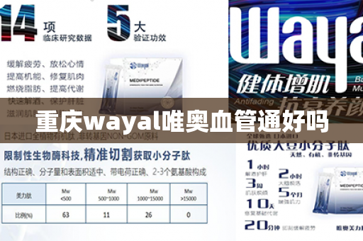 重庆wayal唯奥血管通好吗第1张-Wayal唯奥公司