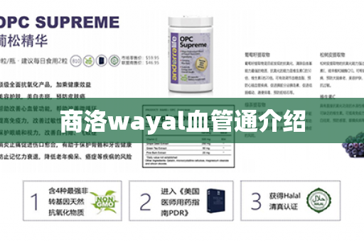 商洛wayal血管通介绍第1张-Wayal唯奥公司