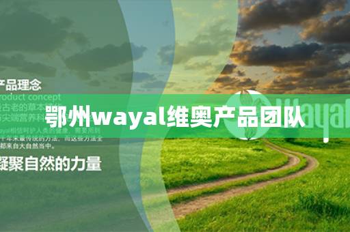 鄂州wayal维奥产品团队第1张-Wayal唯奥公司