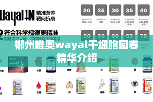 郴州唯奥wayal干细胞回春精华介绍第1张-Wayal唯奥公司