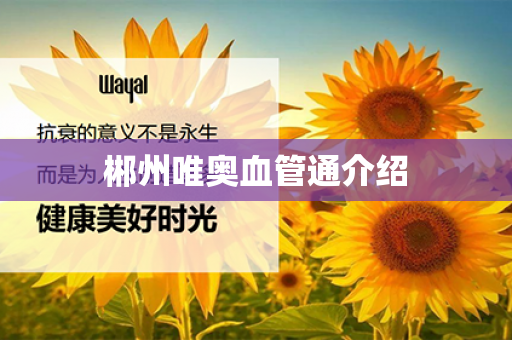 郴州唯奥血管通介绍第1张-Wayal唯奥公司