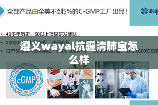 遵义wayal抗霾清肺宝怎么样