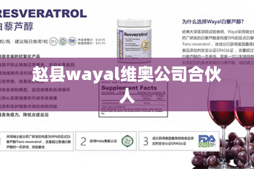 赵县wayal维奥公司合伙人