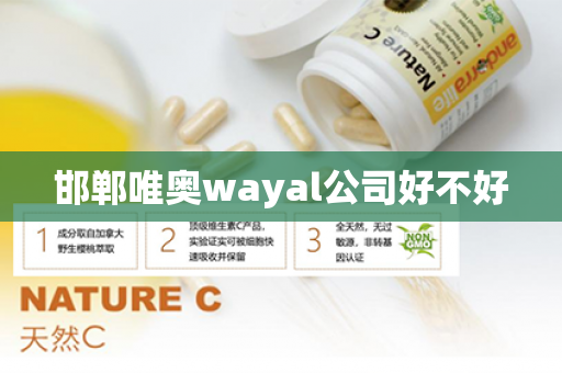 邯郸唯奥wayal公司好不好第1张-Wayal唯奥公司