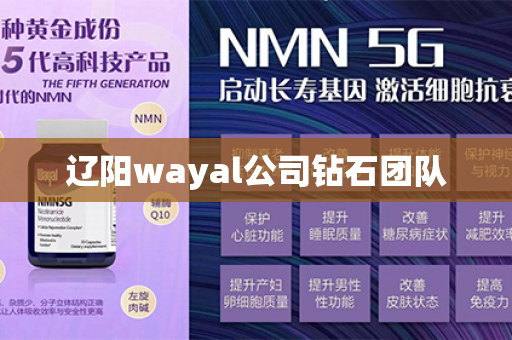 辽阳wayal公司钻石团队