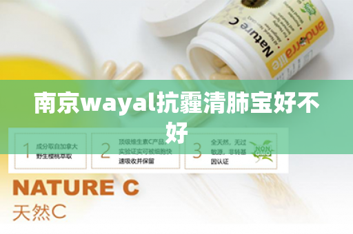 南京wayal抗霾清肺宝好不好