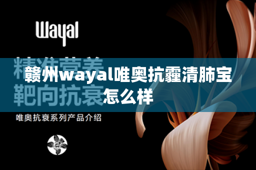 赣州wayal唯奥抗霾清肺宝怎么样