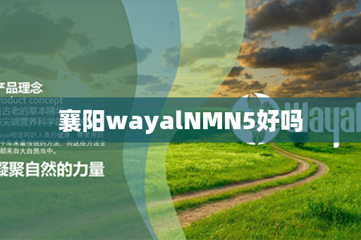 襄阳wayalNMN5好吗