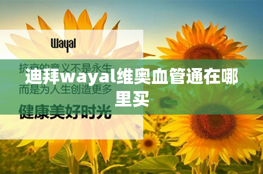 迪拜wayal维奥血管通在哪里买