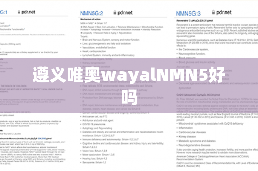 遵义唯奥wayalNMN5好吗第1张-Wayal唯奥公司