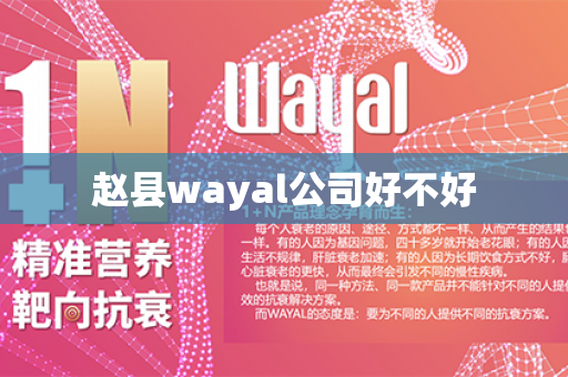 赵县wayal公司好不好