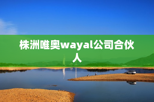 株洲唯奥wayal公司合伙人第1张-Wayal唯奥公司