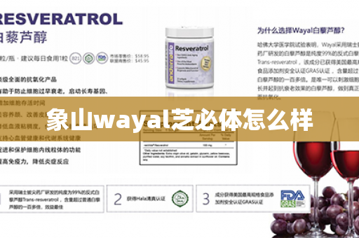 象山wayal芝必体怎么样第1张-Wayal唯奥公司