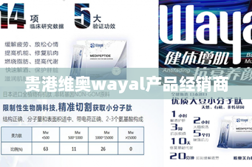 贵港维奥wayal产品经销商