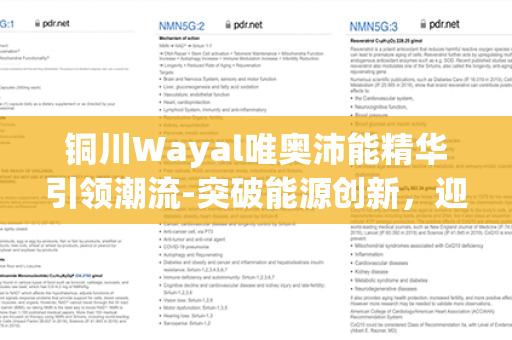 铜川Wayal唯奥沛能精华引领潮流-突破能源创新，迎接绿色未来