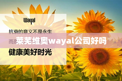 莱芜维奥wayal公司好吗第1张-Wayal唯奥公司