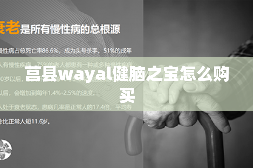 莒县wayal健脑之宝怎么购买