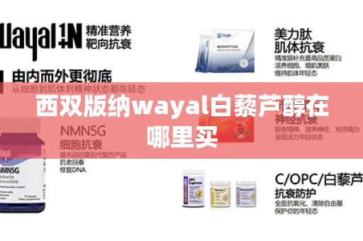 西双版纳wayal白藜芦醇在哪里买第1张-Wayal唯奥公司