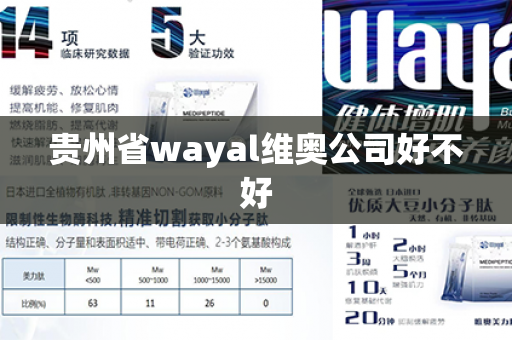 贵州省wayal维奥公司好不好