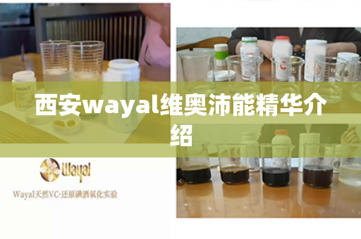 西安wayal维奥沛能精华介绍