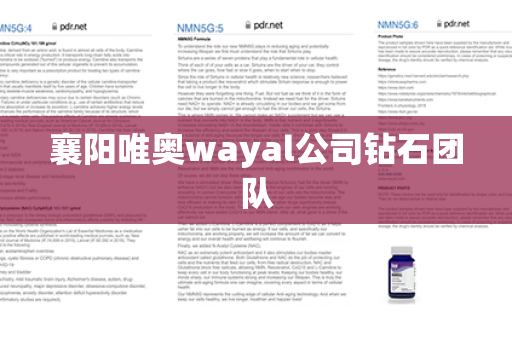 襄阳唯奥wayal公司钻石团队第1张-Wayal唯奥公司