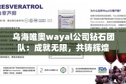 乌海唯奥wayal公司钻石团队：成就无限，共铸辉煌第1张-Wayal唯奥公司