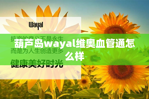 葫芦岛wayal维奥血管通怎么样