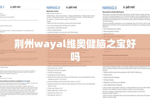 荆州wayal维奥健脑之宝好吗第1张-Wayal唯奥公司