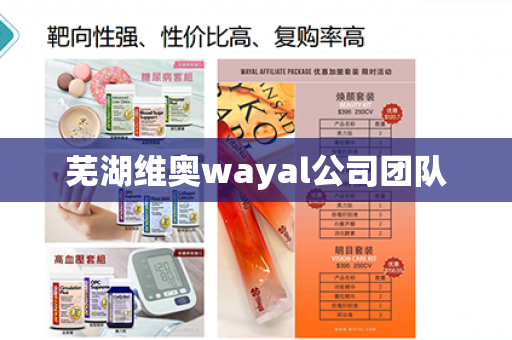 芜湖维奥wayal公司团队第1张-Wayal唯奥公司