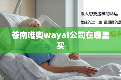 苍南唯奥wayal公司在哪里买第1张-Wayal唯奥公司