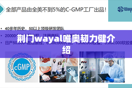 荆门wayal唯奥韧力健介绍第1张-Wayal唯奥公司