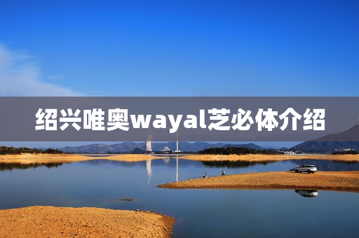 绍兴唯奥wayal芝必体介绍第1张-Wayal唯奥公司