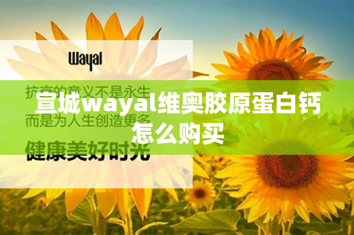 宣城wayal维奥胶原蛋白钙怎么购买第1张-Wayal唯奥公司