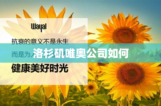 洛杉矶唯奥公司如何第1张-Wayal唯奥公司