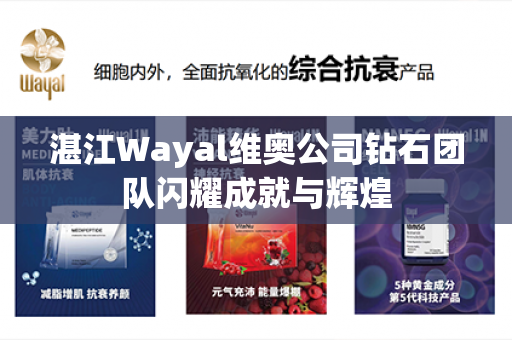 湛江Wayal维奥公司钻石团队闪耀成就与辉煌