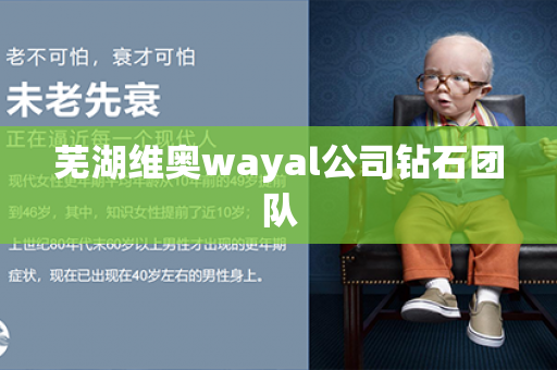 芜湖维奥wayal公司钻石团队第1张-Wayal唯奥公司